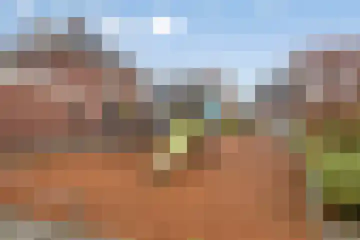 Hoefbladmeen 25 Harderwijk thumbnail 41