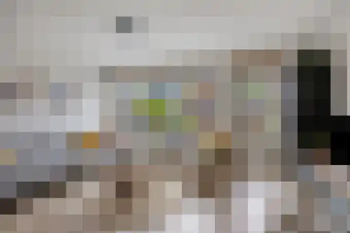 Hoefbladmeen 25 Harderwijk thumbnail 5