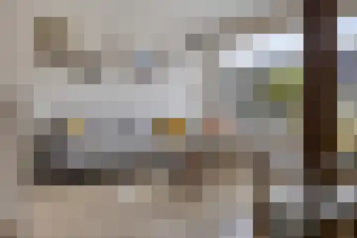 Hoefbladmeen 25 Harderwijk thumbnail 6