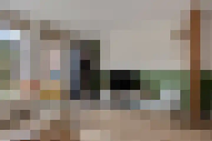 Hoefbladmeen 25 Harderwijk thumbnail 7