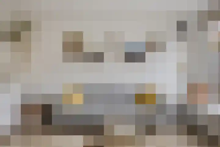 Hoefbladmeen 25 Harderwijk thumbnail 8