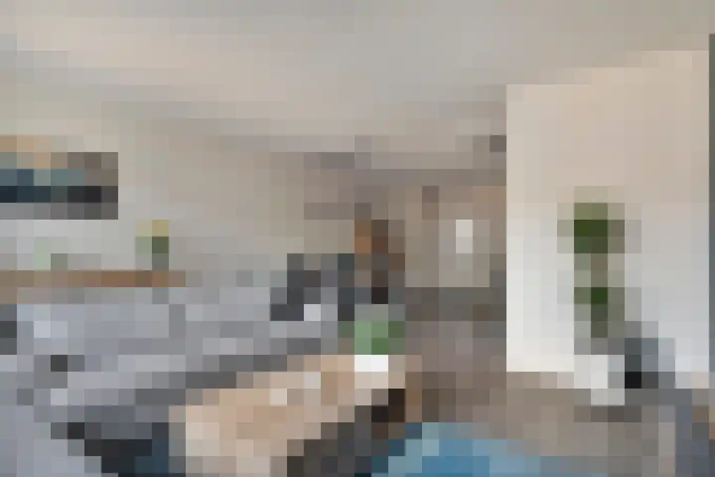 Hoefbladmeen 45 Harderwijk thumbnail 13