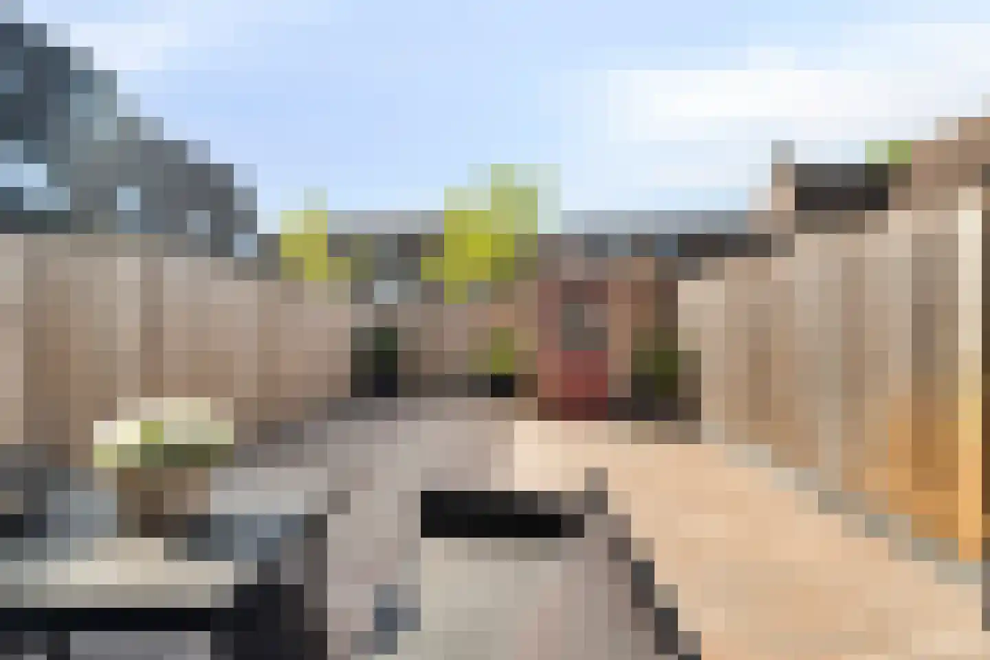 Hoefbladmeen 45 Harderwijk thumbnail 40