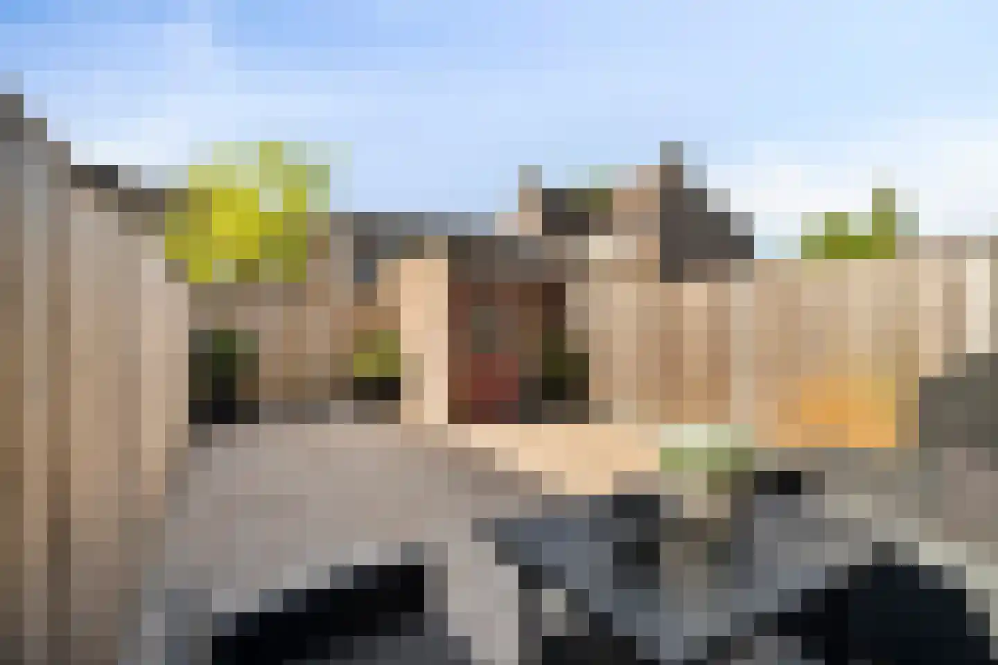 Hoefbladmeen 45 Harderwijk thumbnail 41