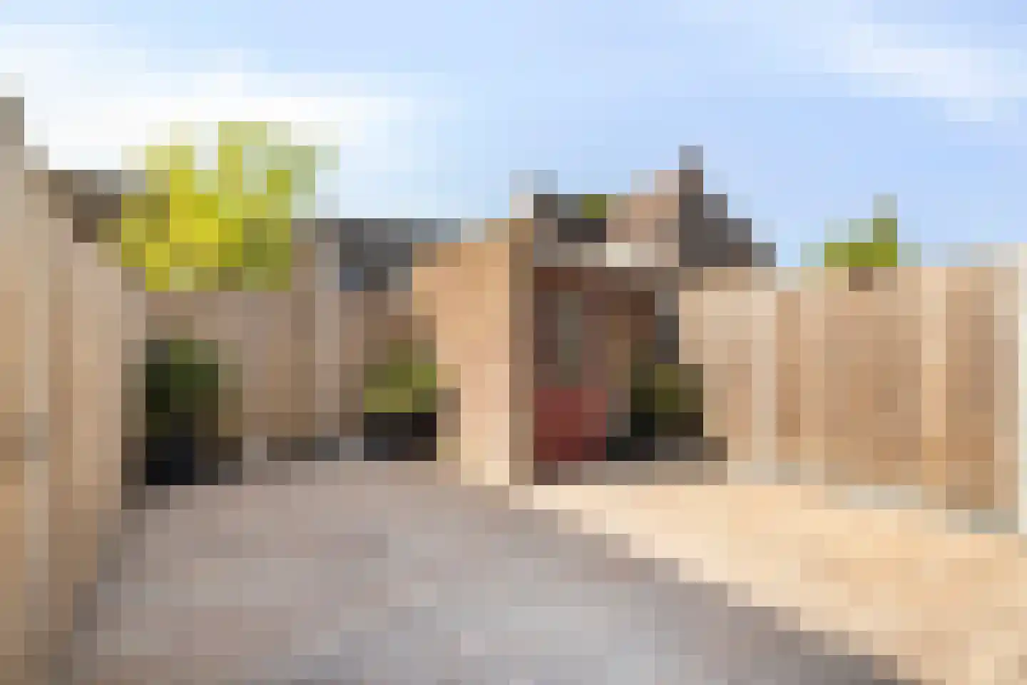 Hoefbladmeen 45 Harderwijk thumbnail 42