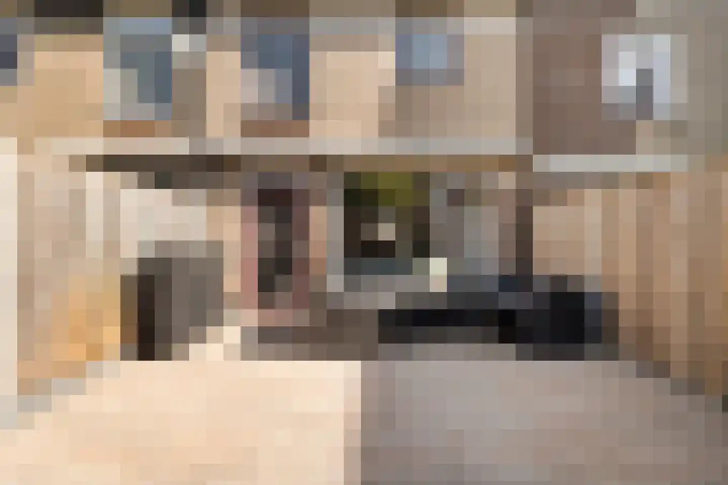 Hoefbladmeen 45 Harderwijk thumbnail 43