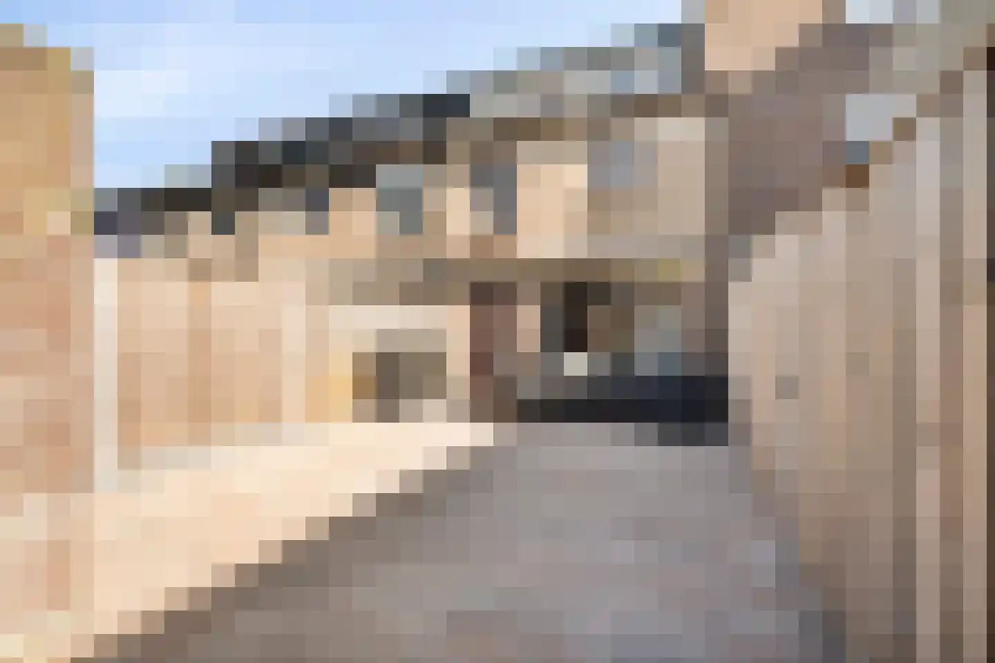 Hoefbladmeen 45 Harderwijk thumbnail 44
