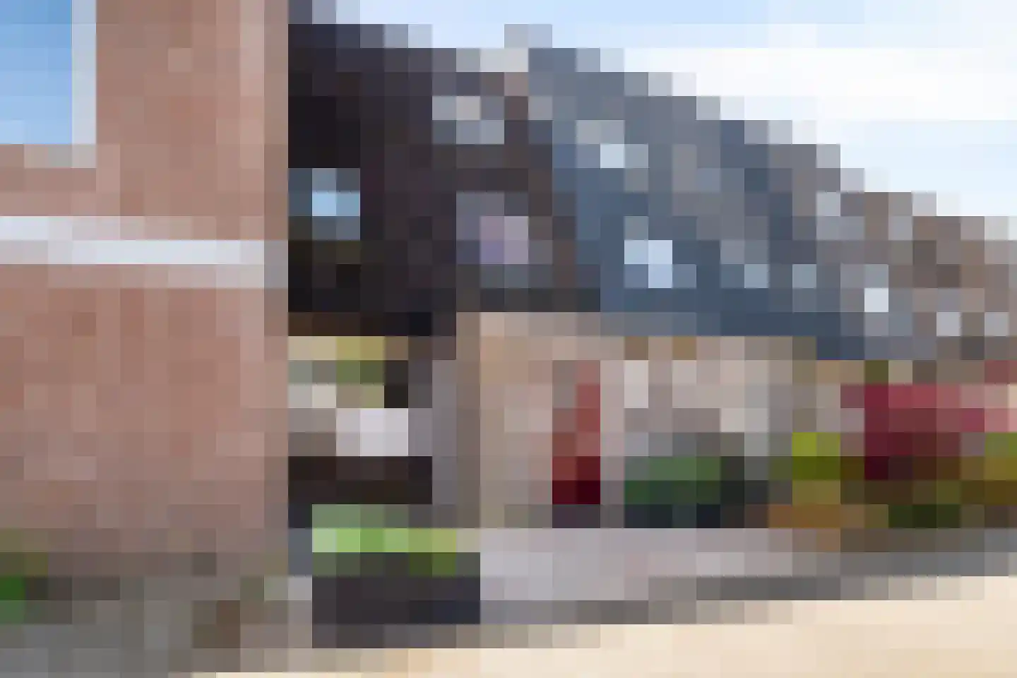 Hoefbladmeen 45 Harderwijk thumbnail 49