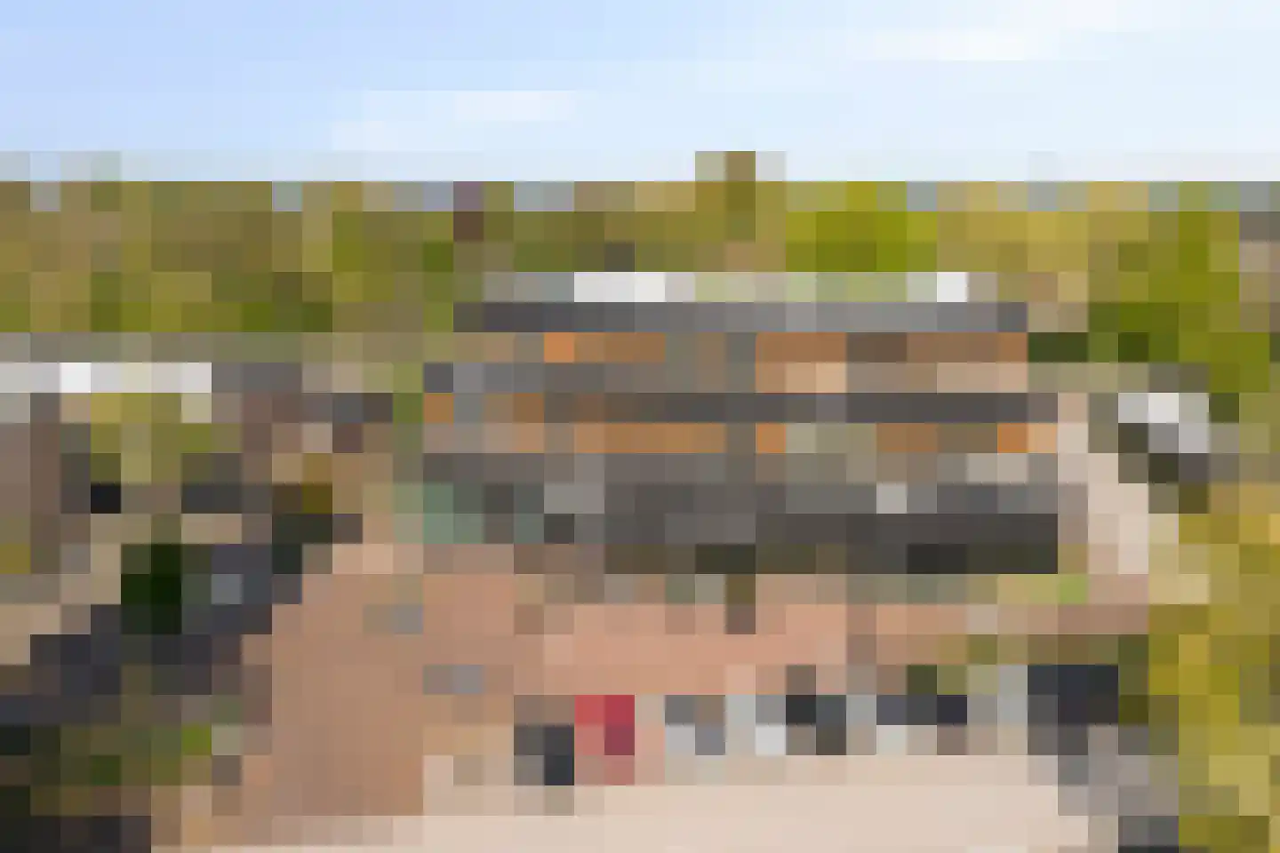 Hoefbladmeen 45 Harderwijk thumbnail 51