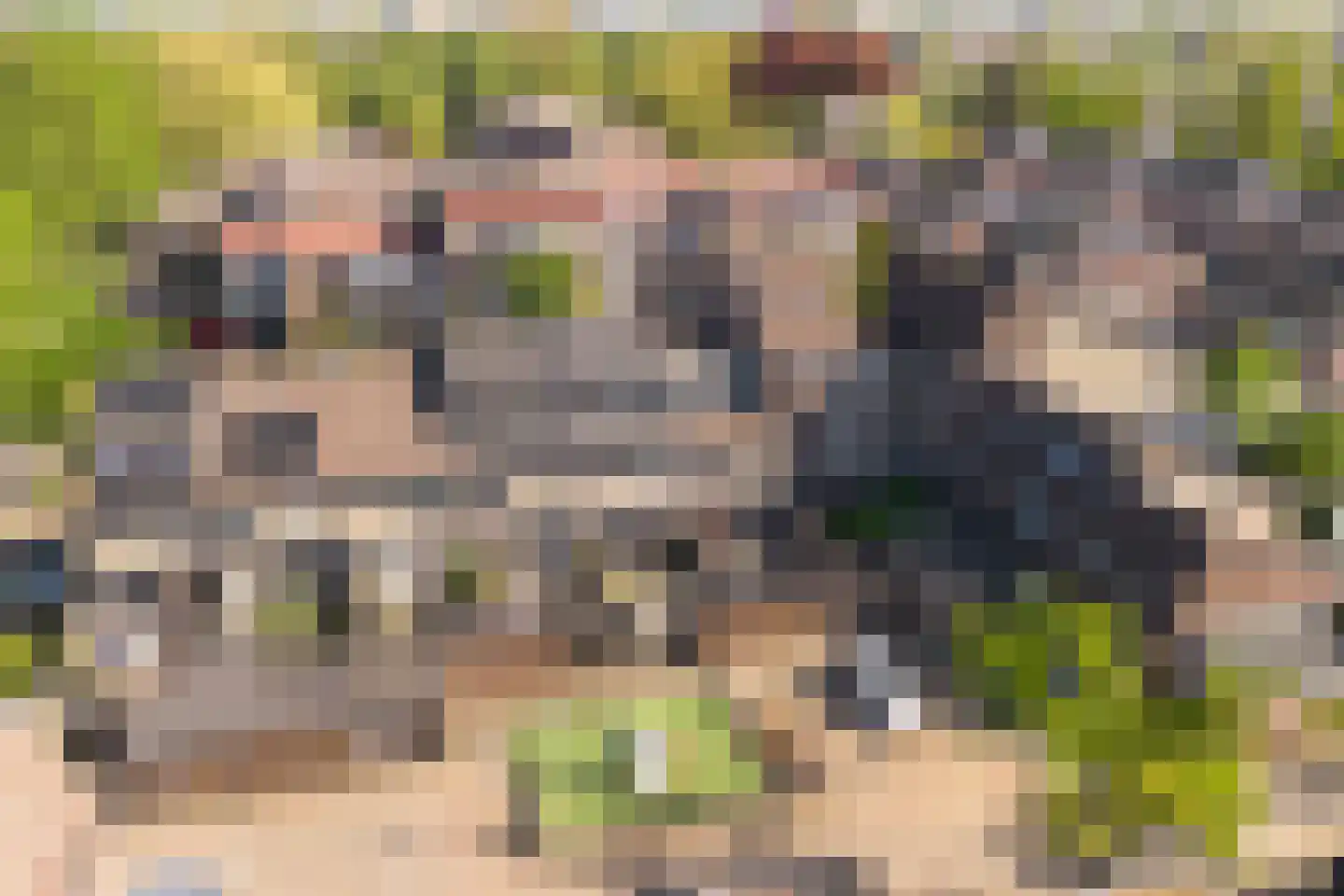 Hoefbladmeen 45 Harderwijk thumbnail 52