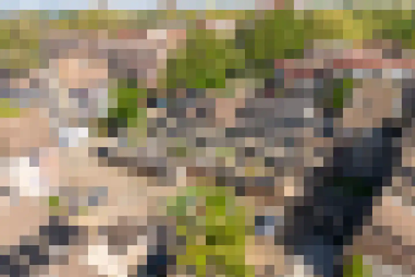 Hoefbladmeen 45 Harderwijk thumbnail 53