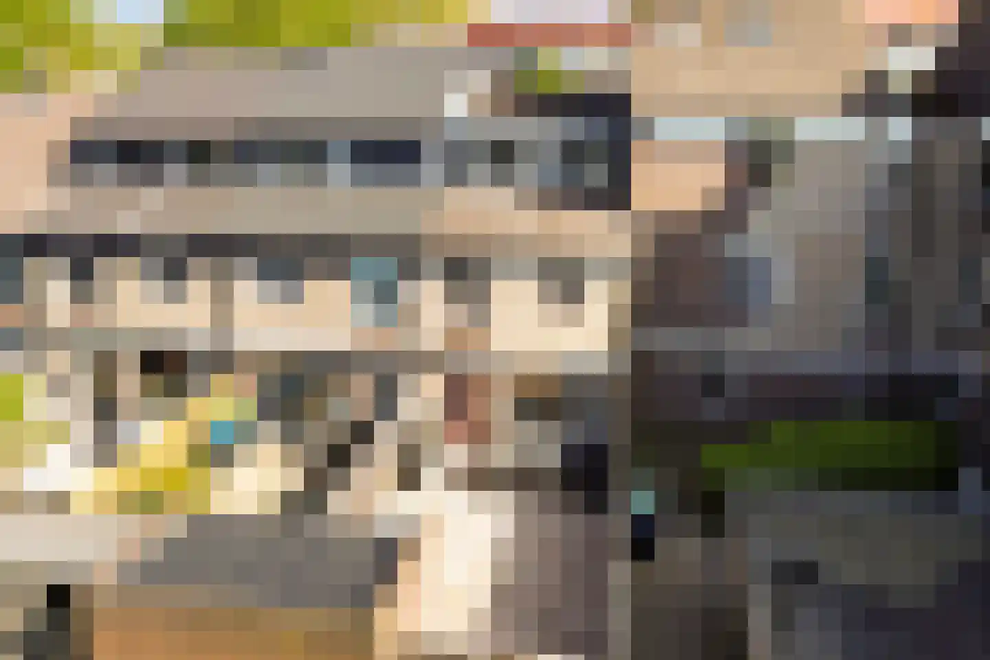 Hoefbladmeen 45 Harderwijk thumbnail 54