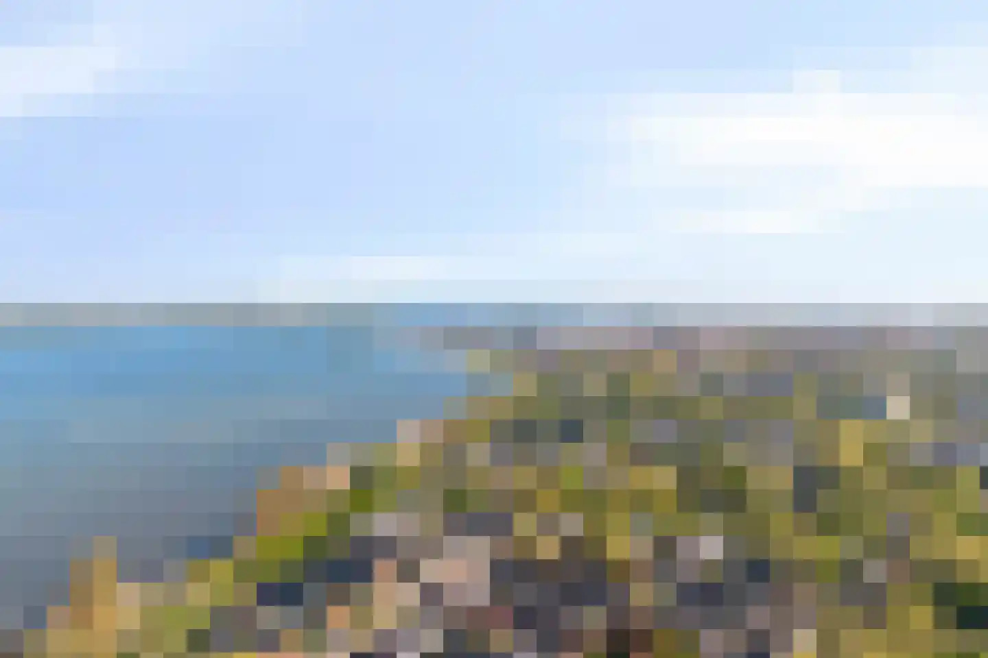 Hoefbladmeen 45 Harderwijk thumbnail 55