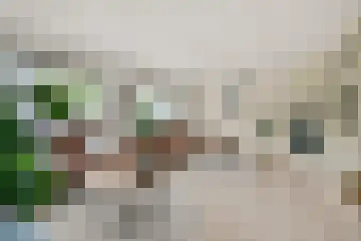 Hoefbladstraat 12 Nieuw-Vennep thumbnail 10