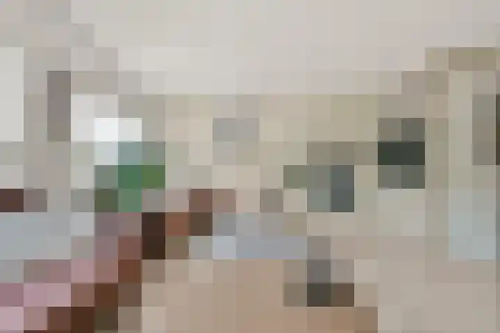 Hoefbladstraat 12 Nieuw-Vennep thumbnail 11