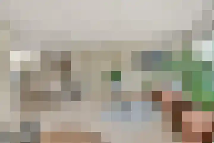 Hoefbladstraat 12 Nieuw-Vennep thumbnail 12