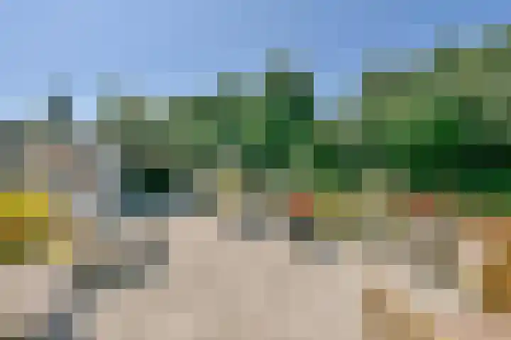 Hoefbladstraat 12 Nieuw-Vennep thumbnail 29