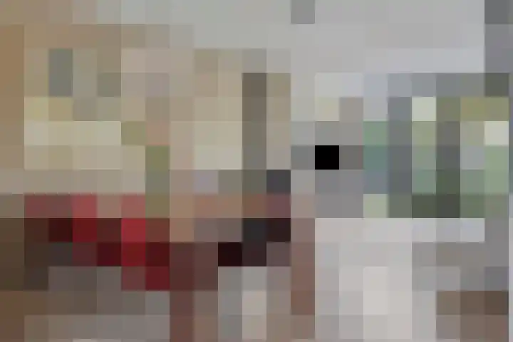 Hoefbladstraat 12 Terneuzen thumbnail 12