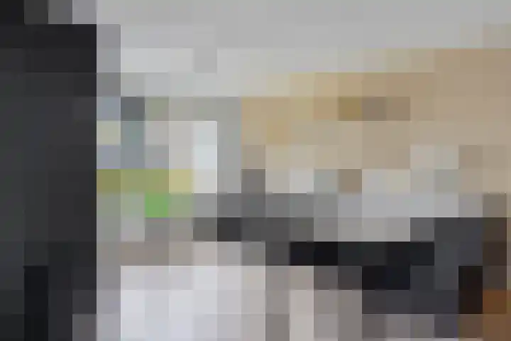 Hoefbladstraat 12 Terneuzen thumbnail 13