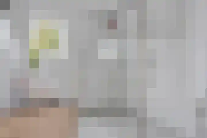 Hoefbladstraat 12 Terneuzen thumbnail 21