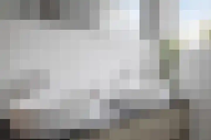 Hoefbladstraat 12 Terneuzen thumbnail 23