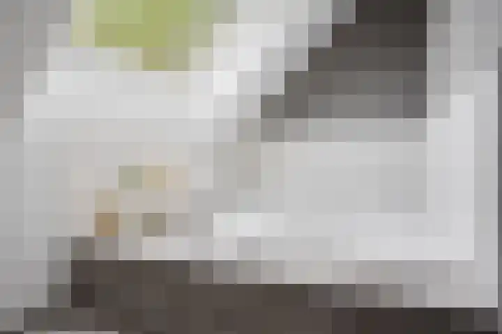 Hoefbladstraat 12 Terneuzen thumbnail 24