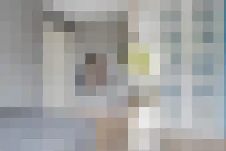 Hoefbladstraat 12 Terneuzen thumbnail 27