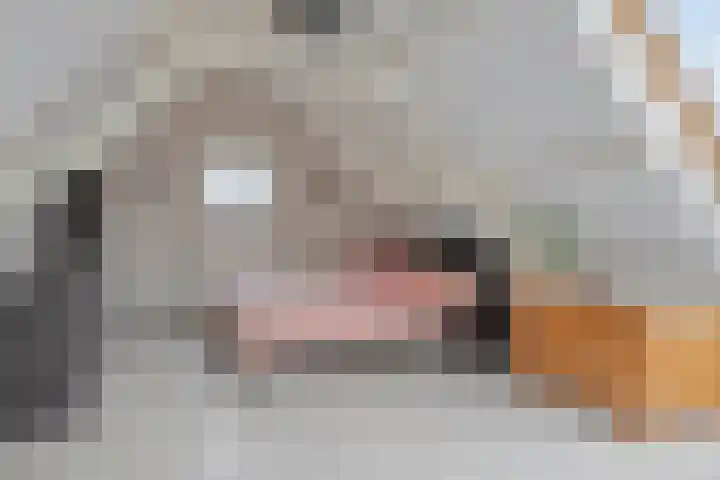 Hoefbladstraat 12 Terneuzen thumbnail 30