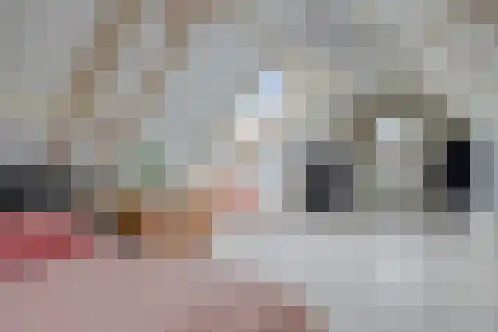 Hoefbladstraat 12 Terneuzen thumbnail 31
