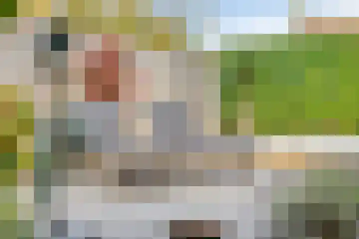 Hoefbladstraat 12 Terneuzen thumbnail 36