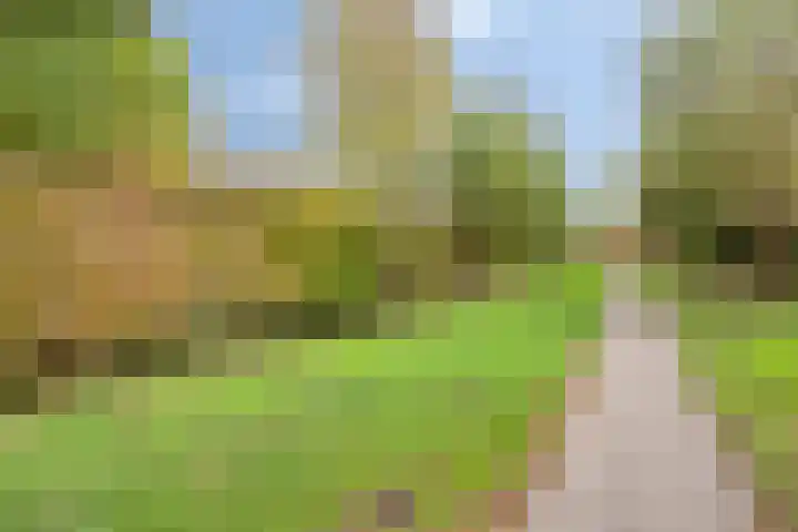 Hoefbladstraat 12 Terneuzen thumbnail 39