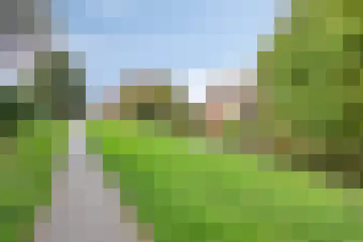 Hoefbladstraat 12 Terneuzen thumbnail 40