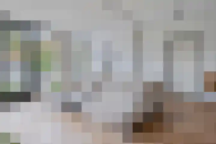 Hoefbladstraat 12 Terneuzen thumbnail 7