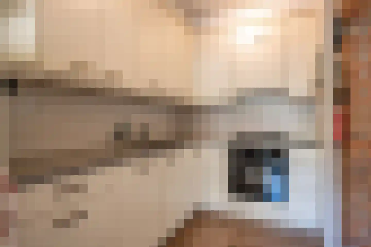Hoefbladstraat 15 Emmeloord thumbnail 17