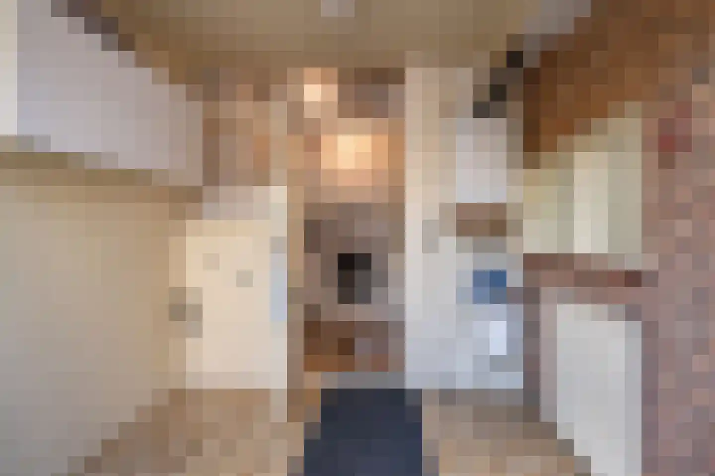 Hoefbladstraat 15 Emmeloord thumbnail 19