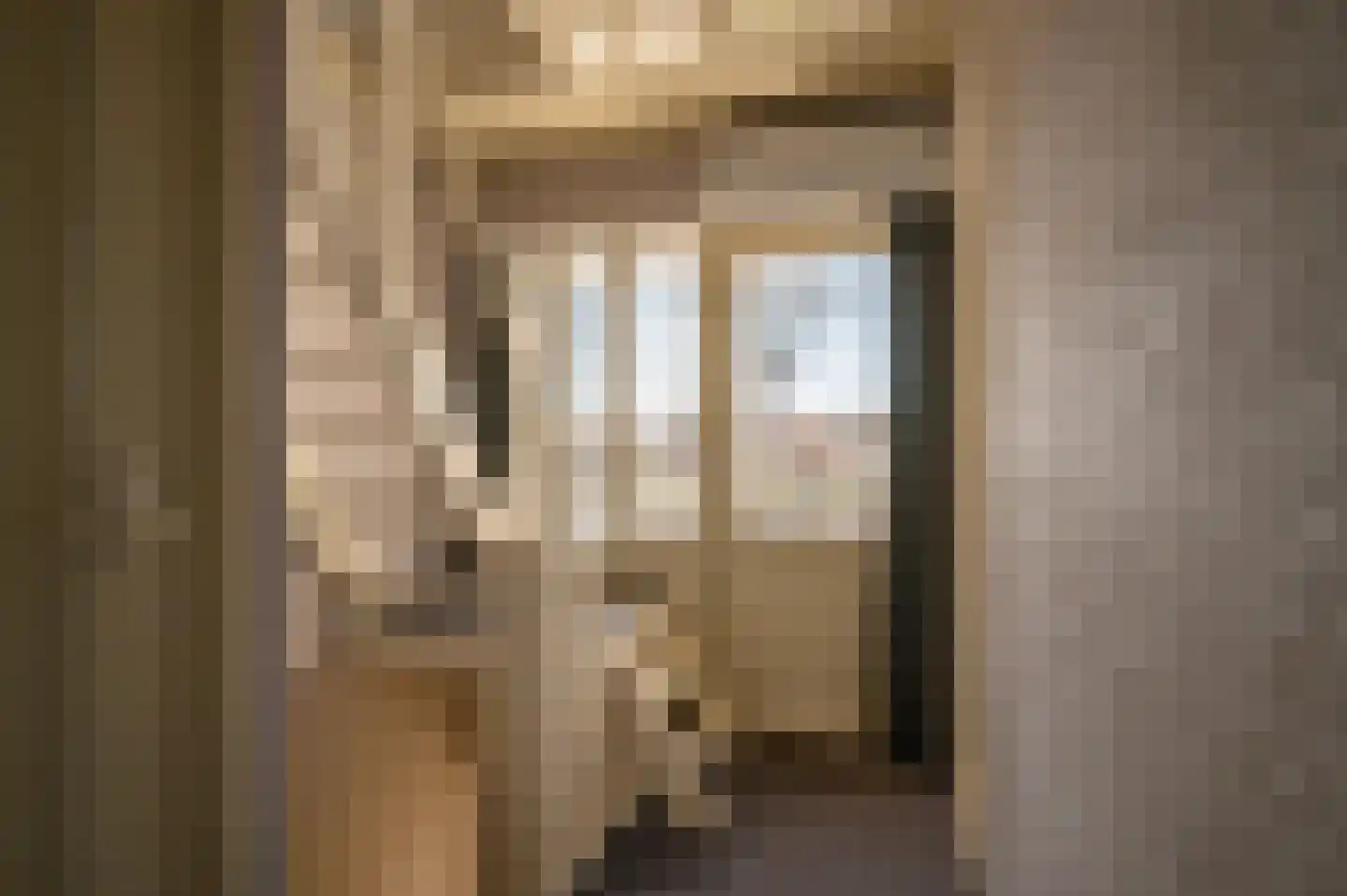 Hoefbladstraat 15 Emmeloord thumbnail 28