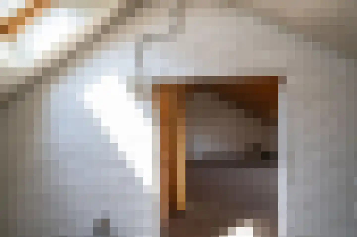 Hoefbladstraat 15 Emmeloord thumbnail 32