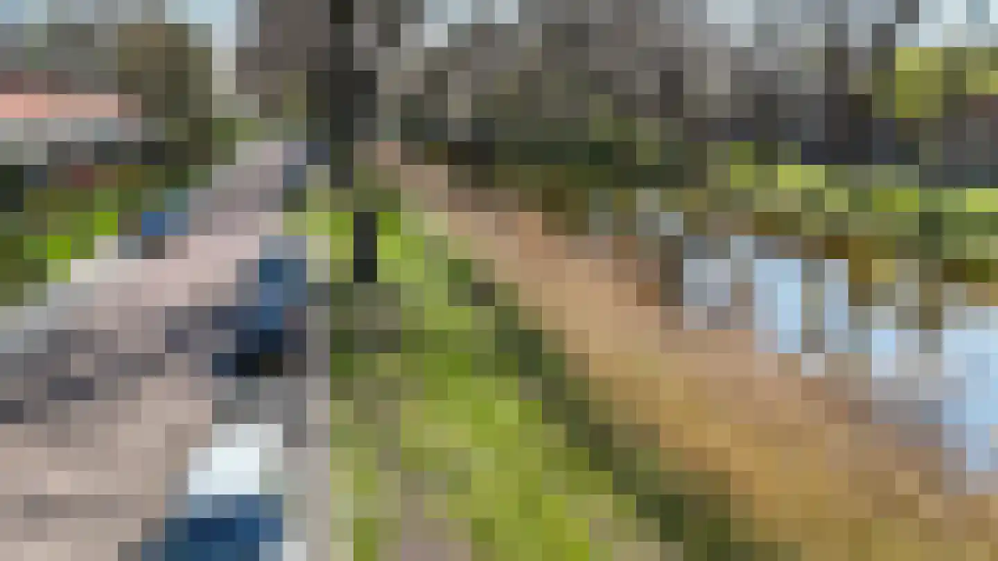 Hoefbladstraat 15 Emmeloord thumbnail 42