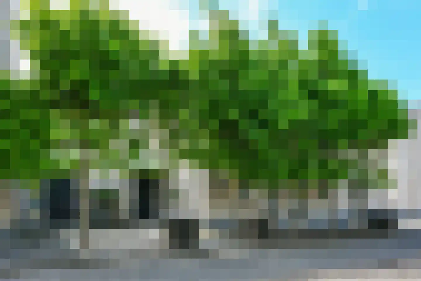 Hoefbladstraat 20 en Nieuw-Vennep