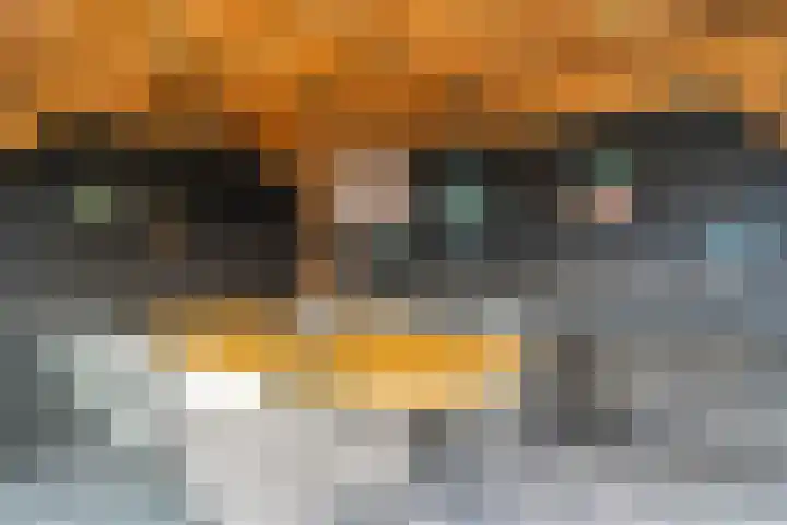 Hoefbladstraat 20 Krommenie thumbnail 13