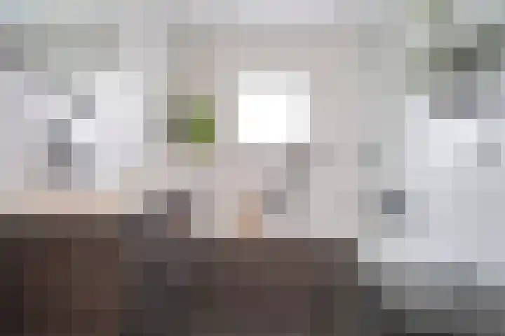 Hoefbladstraat 20 Krommenie thumbnail 20