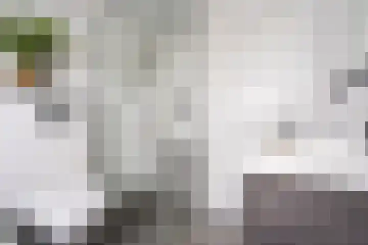 Hoefbladstraat 20 Krommenie thumbnail 21
