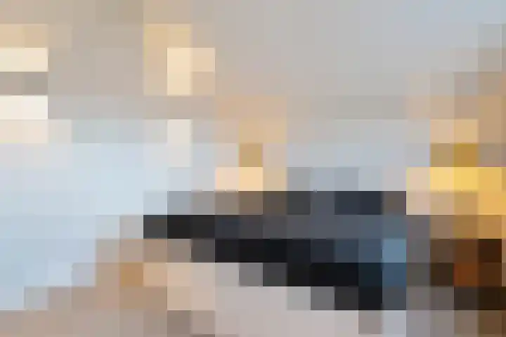 Hoefbladstraat 20 Krommenie thumbnail 24