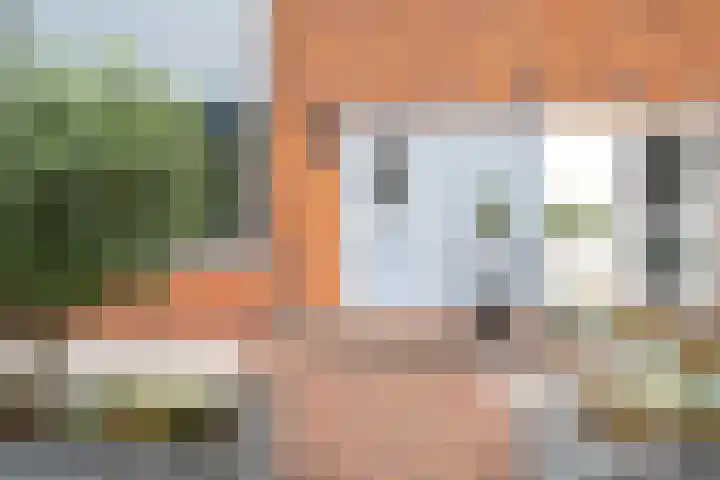 Hoefbladstraat 20 Krommenie thumbnail 29