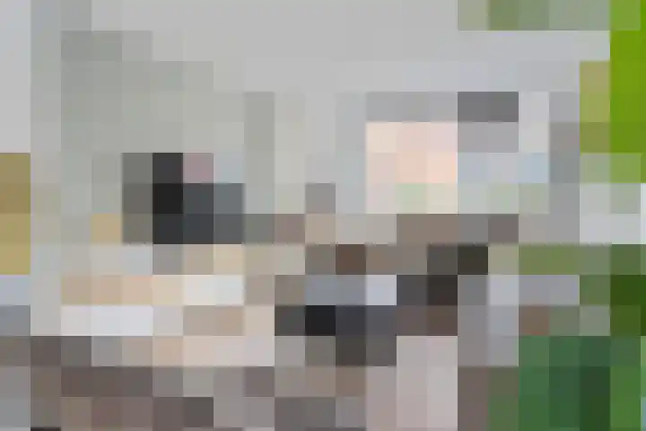 Hoefbladstraat 20 Krommenie thumbnail 7