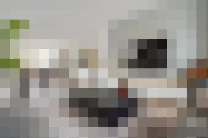 Hoefbladstraat 20 Krommenie thumbnail 8