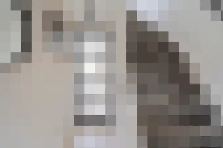 Hoefbladstraat 20 Krommenie thumbnail 9