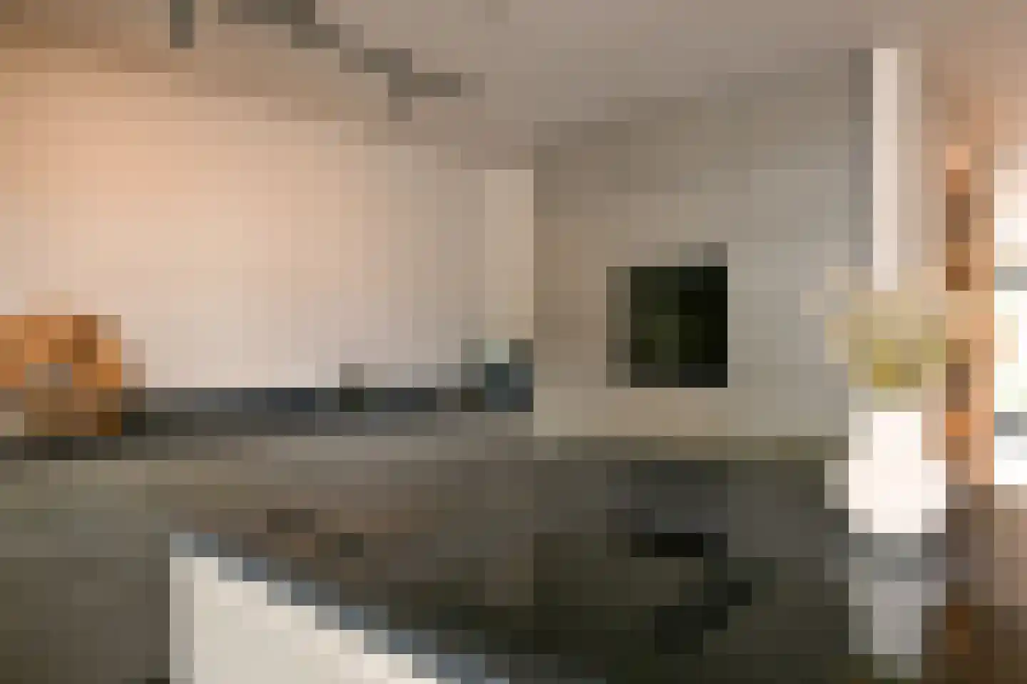 Hoefbladstraat 20 Nieuw-Vennep thumbnail 18