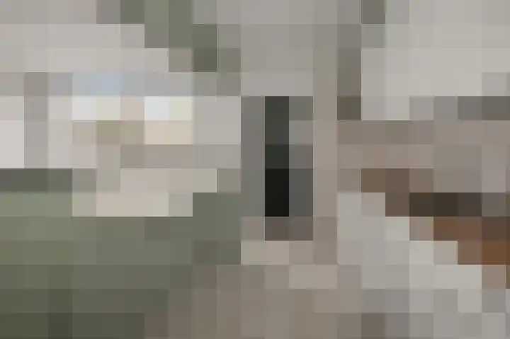 Hoefbladstraat 22 Alphen aan den Rijn thumbnail 4