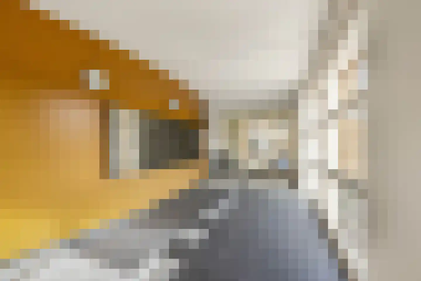 Hoefbladstraat 25 Nieuw-Vennep thumbnail 16